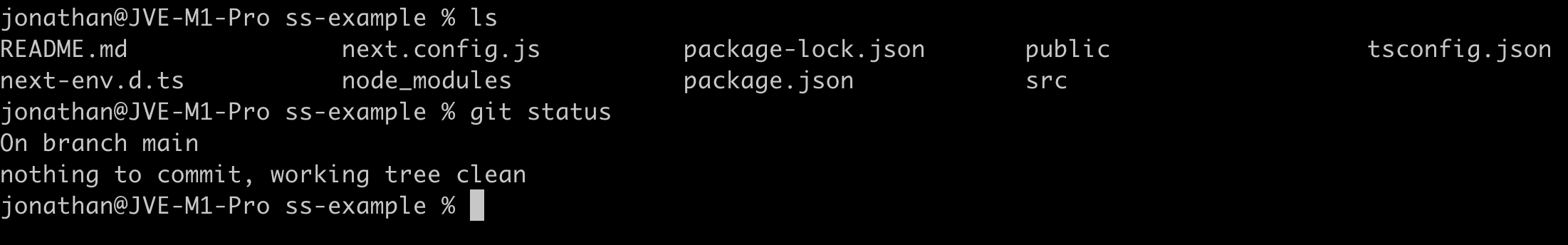 Screenshot of the terminal showing the created project files
